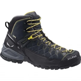 Черевики Salewa MS ALP Trainer Mid GTX