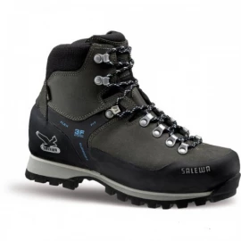 Черевики Salewa MS Bison Trek GTX