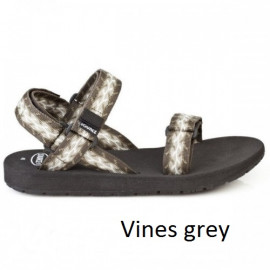 Vines Grey