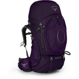 Crown Purple