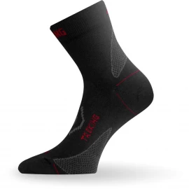 Шкарпетки Lasting TNW