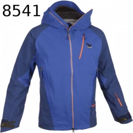 Куртка Salewa Glen