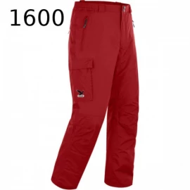 Штаны Salewa Pinar
