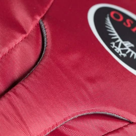 Рюкзак Osprey Pogo 24 