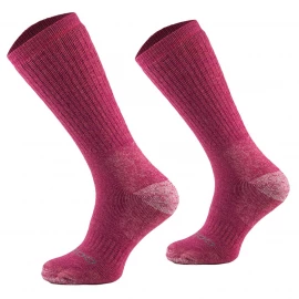 Шкарпетки Comodo STWA