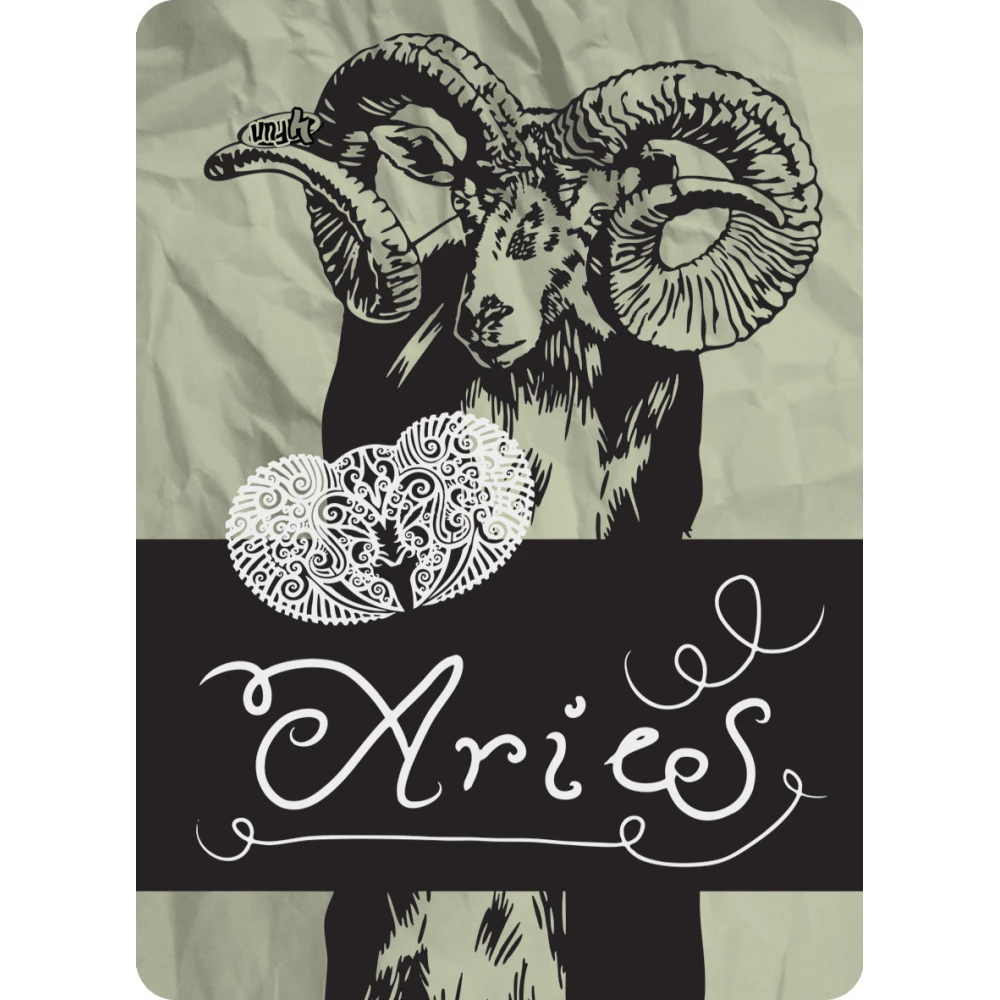 Мультипов'язка 4Fun Aries