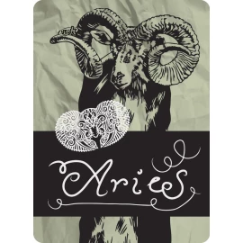 Мультипов'язка 4Fun Aries
