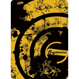 Мультиповязка 4Fun Sagittarius