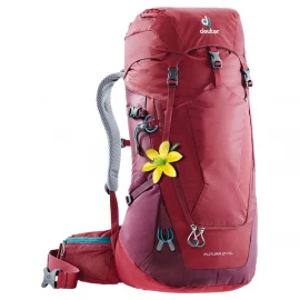 Рюкзак Deuter Futura 24 SL