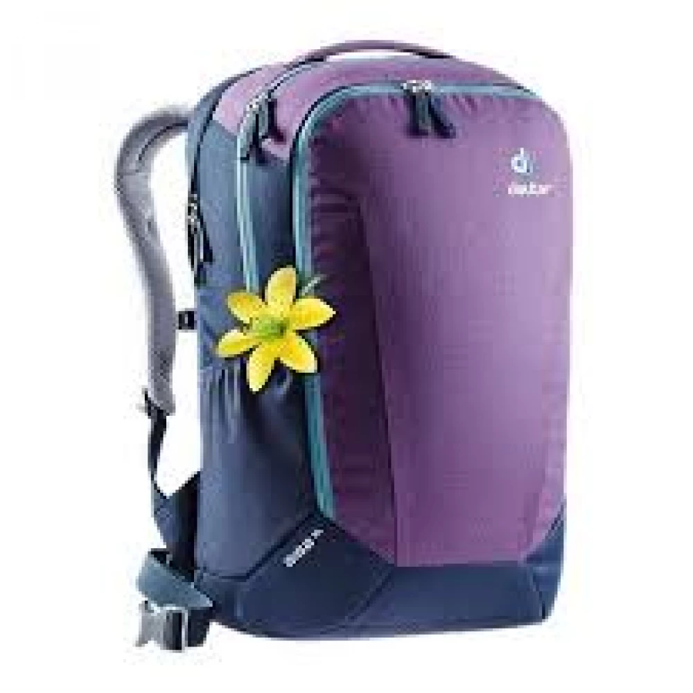 Рюкзак Deuter Giga SL old 