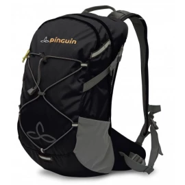 Рюкзак Pinguin Ride 19