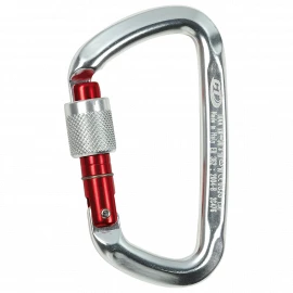 Карабин Climbing Technology D-Shape SG