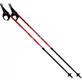 Палки Fjord Nansen Nordic Pro II