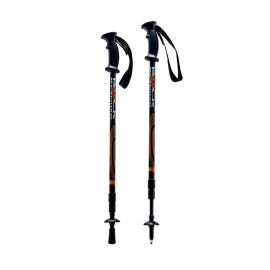 Треккінгові палиці Rock Empire Trekking Poles Izard
