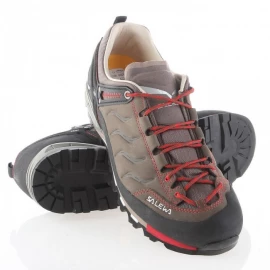 Кросівки Salewa MS MTN Trainer L