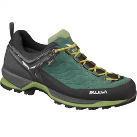 Кросівки Salewa MS MTN Trainer GTX
