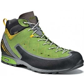 Черевики Asolo Magnum GV