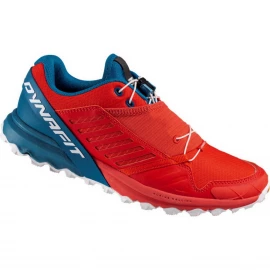 Кросівки Dynafit Alpine Pro