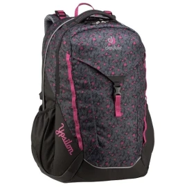 Рюкзак Deuter Ypsilon 3831019
