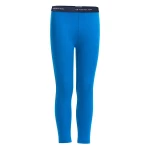 Термоштаны Icebreaker Oasis Leggings 867
