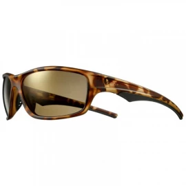 Окуляри Julbo Lennox Ecaill Brun Plz FL