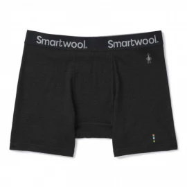 Термошорти SmartWool Men's Merino Sport 150 Boxer Brief