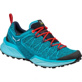 Кроссовки Salewa WS Dropline GTX