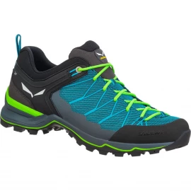 Кросівки Salewa MS MTN Trainer Lite
