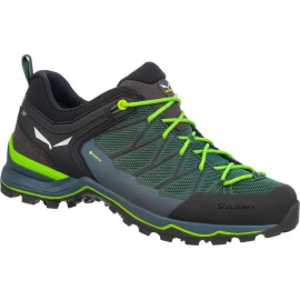 Кросівки Salewa MS MTN Trainer Lite GTX 