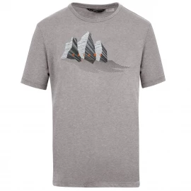 Футболка Salewa Lines Graphic Mns