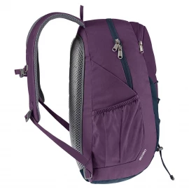 Рюкзак Deuter Gogo