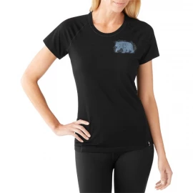 Футболка Smart Wool W's Merino 150 Ursa Tee