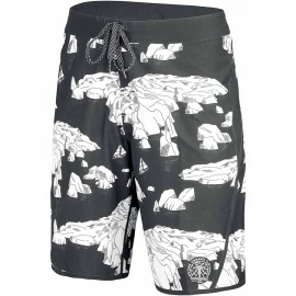 Шорти Picture Organic NW20 