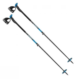 Палиці Leki Aergon Lite 2