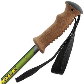Трекінгові палиці Vipole Challenge AS Cork Roundhead