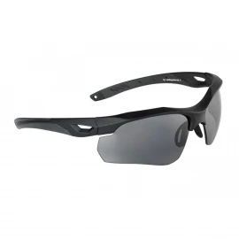 Очки баллистические Swiss Eye Skyray