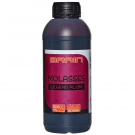 Меласса Brain Molasses 500ml