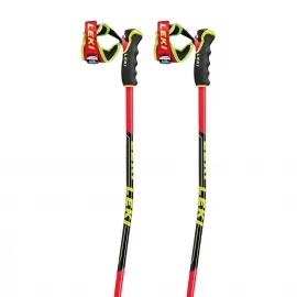 Гірськолижні палиці Leki WCR GS Carbon 3D