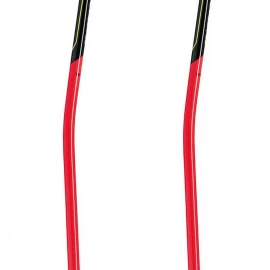 Гірськолижні палиці Leki WCR GS Carbon 3D