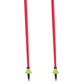 Гірськолижні палиці Leki WCR GS Carbon 3D