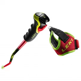 Гірськолижні палиці Leki WCR GS Carbon 3D