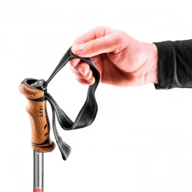 Палки Leki Legacy Lite