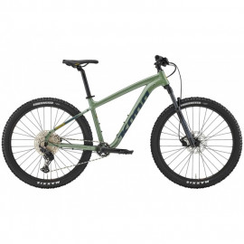 Rainforest Green
