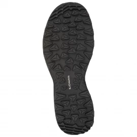 Черевики Lowa Toro Pro GTX MID