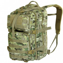 MultiCam