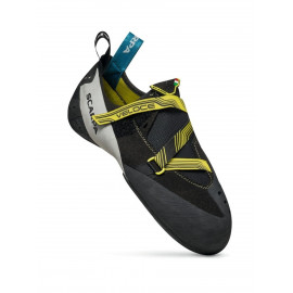 Black/Yellow