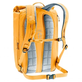 Рюкзак Deuter Stepout 22