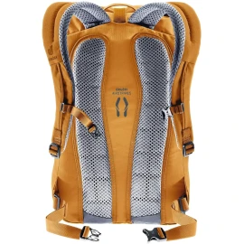 Рюкзак Deuter Stepout 22