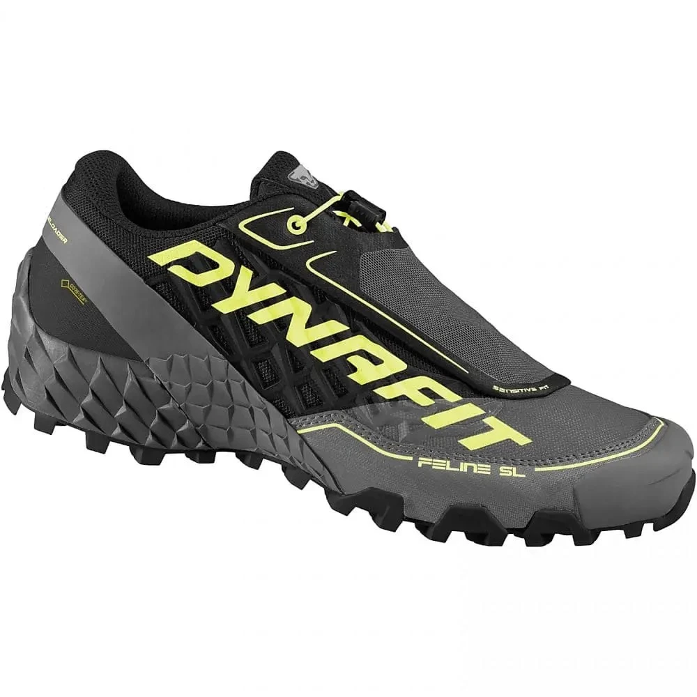 Кросівки Dynafit Feeline SL GTX