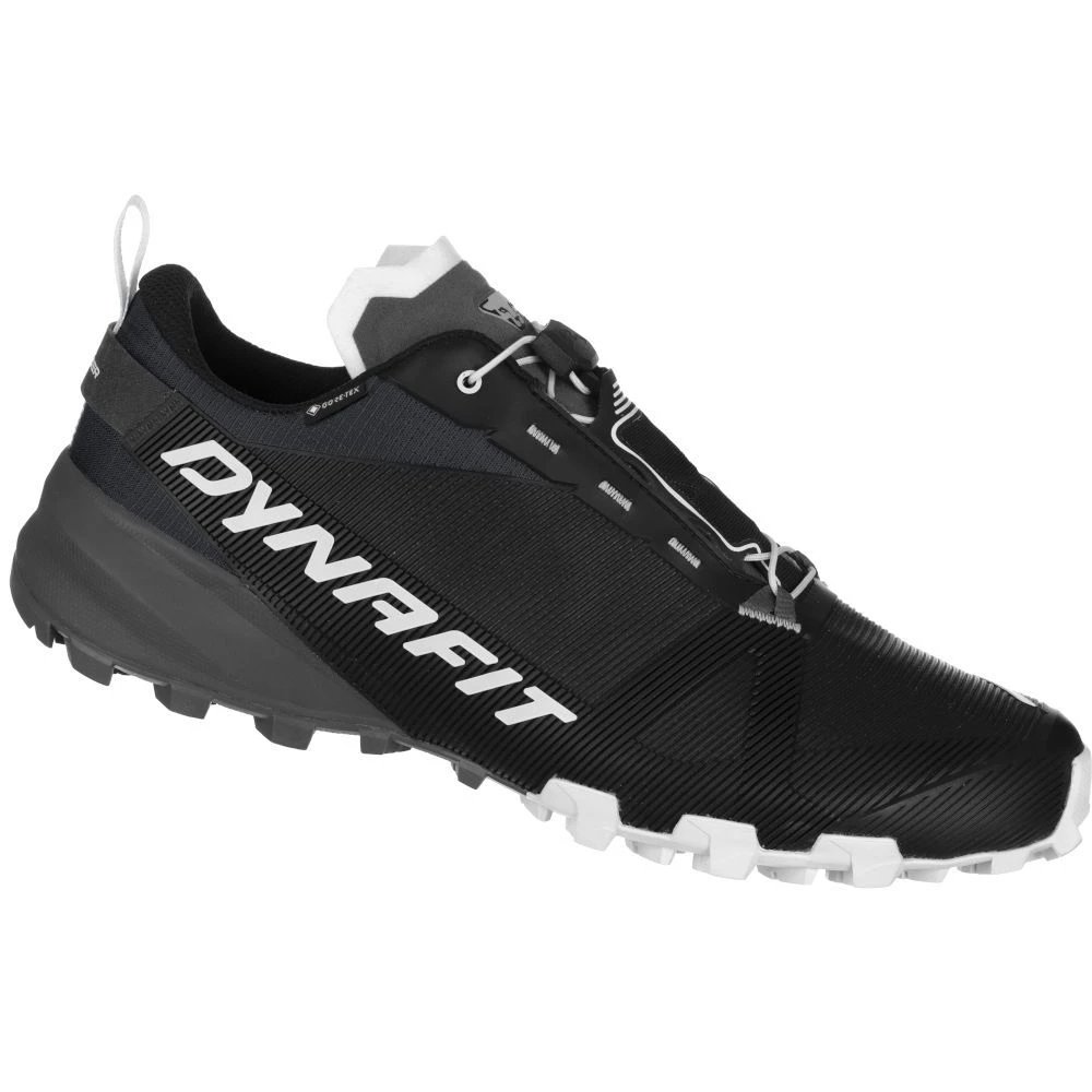 Кросівки Dynafit Traverse GTX